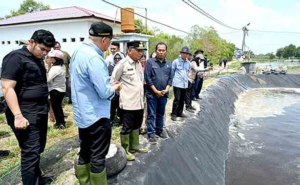 Foto-Wagub-Sumut-Tinjau-UPTD-Budidaya-Ikan-Air-Payau-dan-Laut-Sialang-Buah